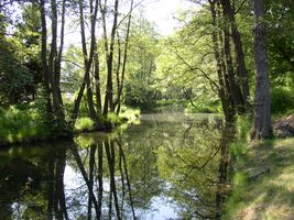 Botič 1-Petrovice-květen 2005.jpg
